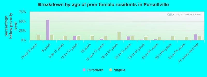 Breakdown by age of poor female residents in Purcellville