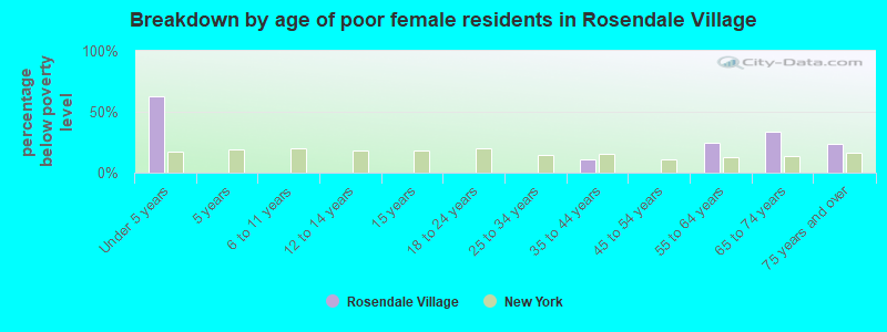 Breakdown by age of poor female residents in Rosendale Village