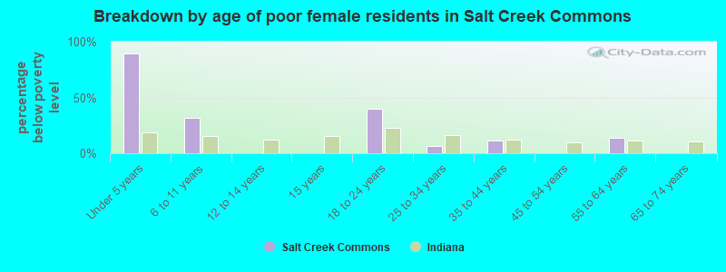 Breakdown by age of poor female residents in Salt Creek Commons
