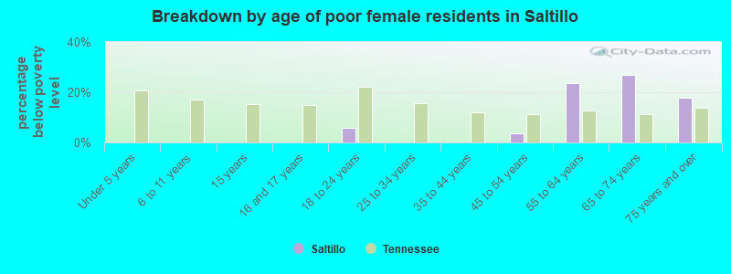 Breakdown by age of poor female residents in Saltillo