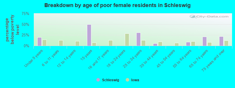 Breakdown by age of poor female residents in Schleswig