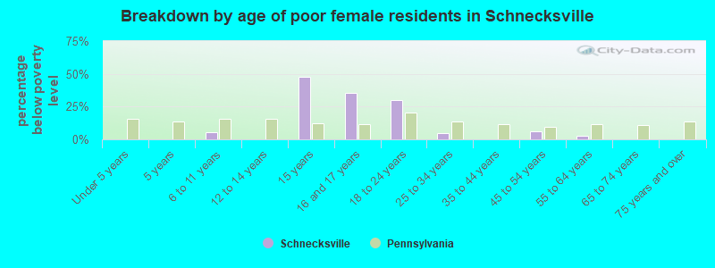 Breakdown by age of poor female residents in Schnecksville