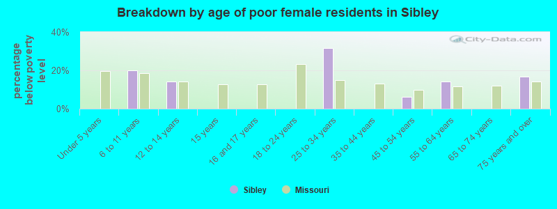 Breakdown by age of poor female residents in Sibley