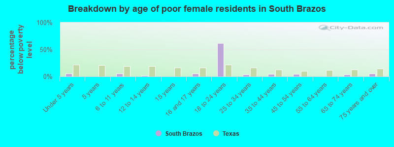 Breakdown by age of poor female residents in South Brazos