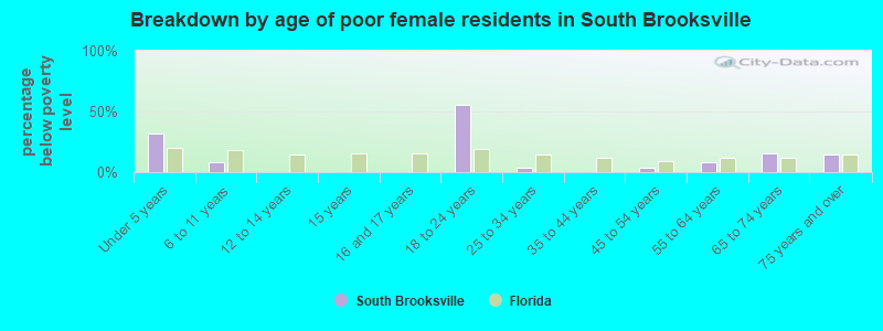 Breakdown by age of poor female residents in South Brooksville