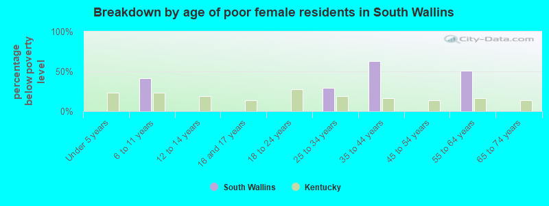 Breakdown by age of poor female residents in South Wallins