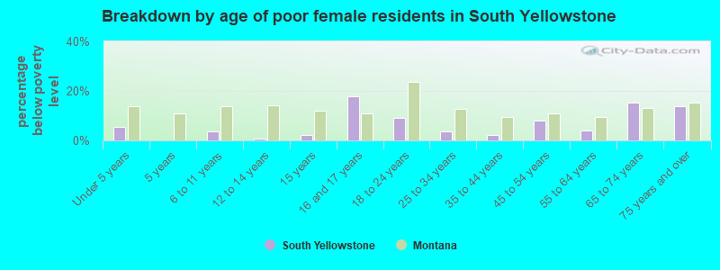 Breakdown by age of poor female residents in South Yellowstone