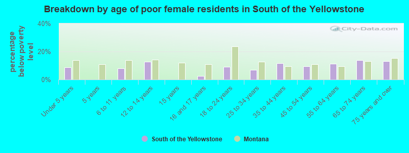 Breakdown by age of poor female residents in South of the Yellowstone