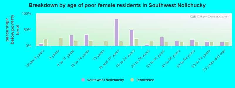 Breakdown by age of poor female residents in Southwest Nolichucky