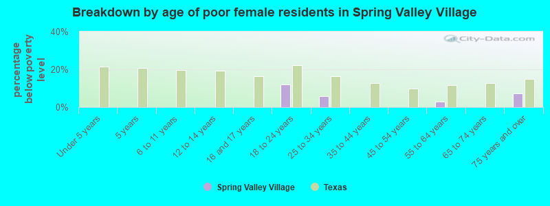 Breakdown by age of poor female residents in Spring Valley Village