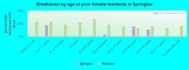 Breakdown by age of poor female residents in Springlee