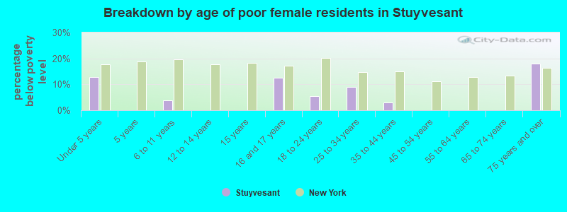 Breakdown by age of poor female residents in Stuyvesant