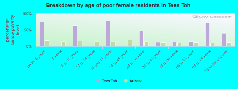 Breakdown by age of poor female residents in Tees Toh