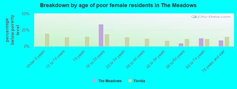 Breakdown by age of poor female residents in The Meadows