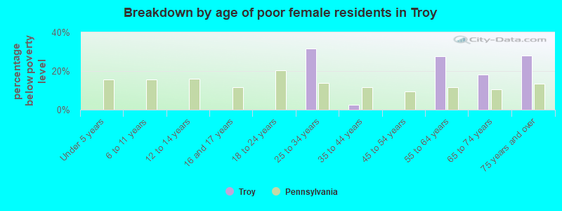 Breakdown by age of poor female residents in Troy