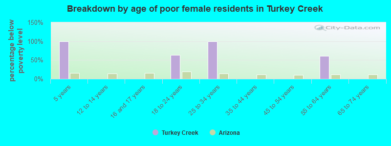 Breakdown by age of poor female residents in Turkey Creek