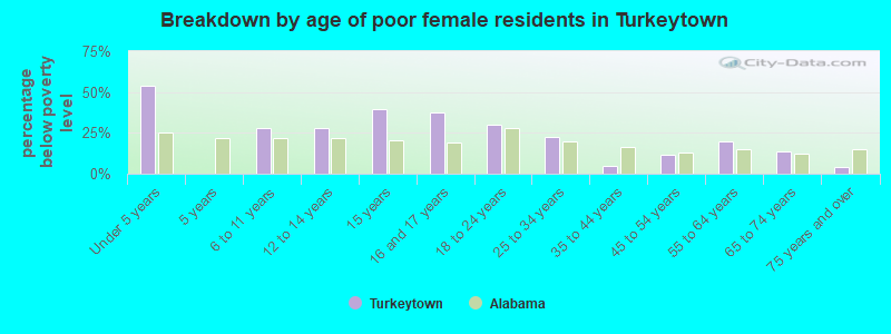 Breakdown by age of poor female residents in Turkeytown