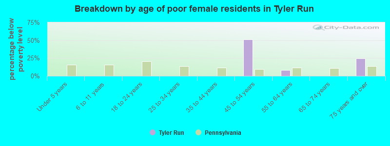 Breakdown by age of poor female residents in Tyler Run