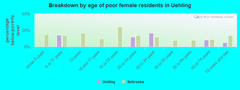 Breakdown by age of poor female residents in Uehling