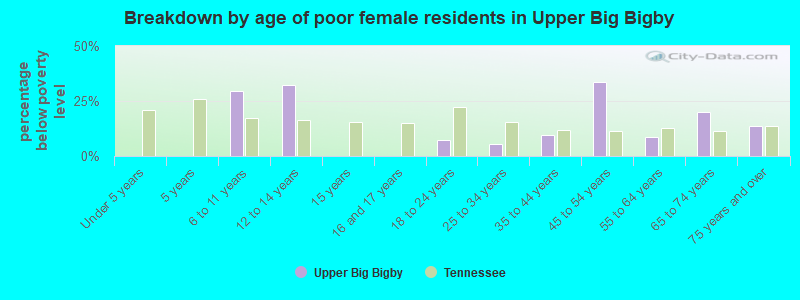 Breakdown by age of poor female residents in Upper Big Bigby