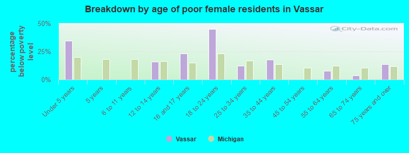 Breakdown by age of poor female residents in Vassar