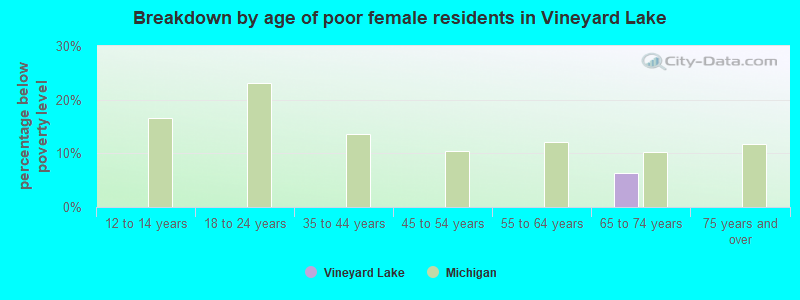 Breakdown by age of poor female residents in Vineyard Lake