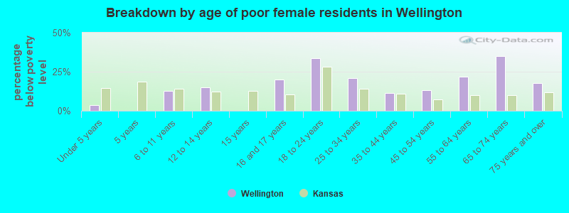 Breakdown by age of poor female residents in Wellington