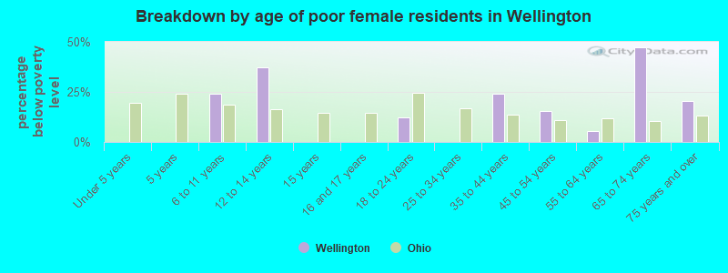 Breakdown by age of poor female residents in Wellington