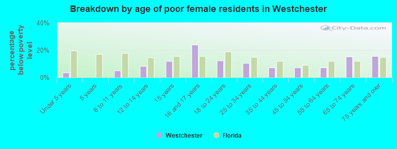 Breakdown by age of poor female residents in Westchester