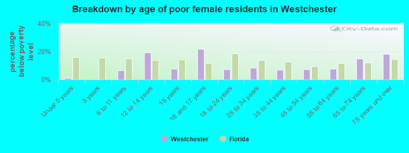 Breakdown by age of poor female residents in Westchester