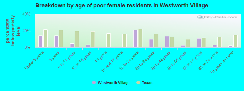 Breakdown by age of poor female residents in Westworth Village