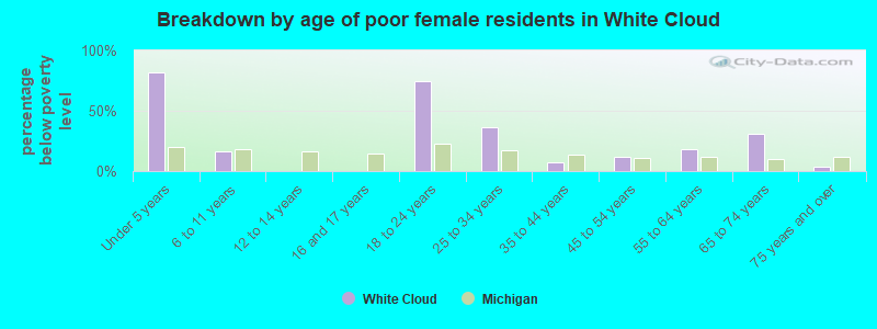 Breakdown by age of poor female residents in White Cloud