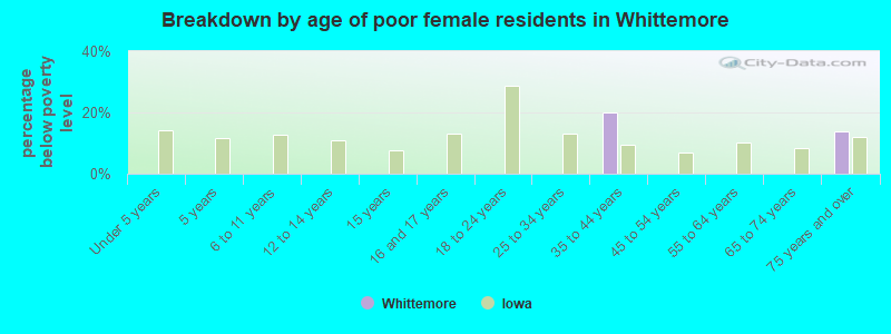 Breakdown by age of poor female residents in Whittemore