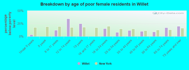Breakdown by age of poor female residents in Willet