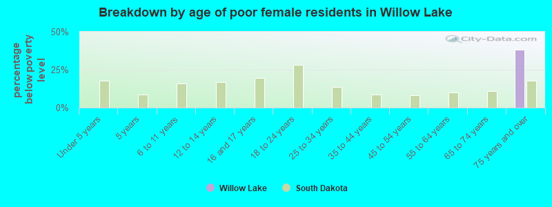 Breakdown by age of poor female residents in Willow Lake