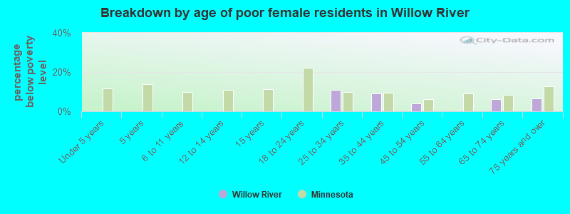 Breakdown by age of poor female residents in Willow River