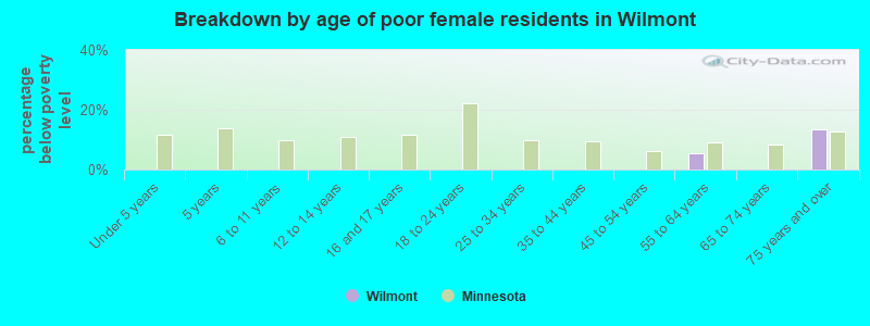 Breakdown by age of poor female residents in Wilmont