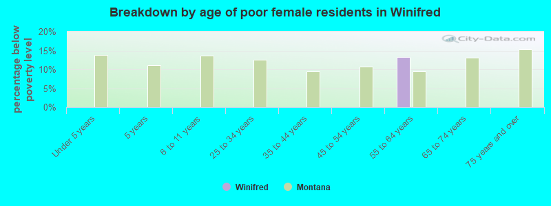 Breakdown by age of poor female residents in Winifred