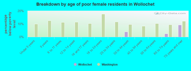 Breakdown by age of poor female residents in Wollochet