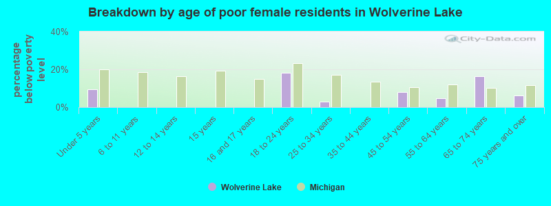 Breakdown by age of poor female residents in Wolverine Lake