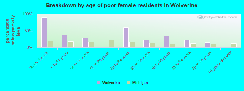 Breakdown by age of poor female residents in Wolverine