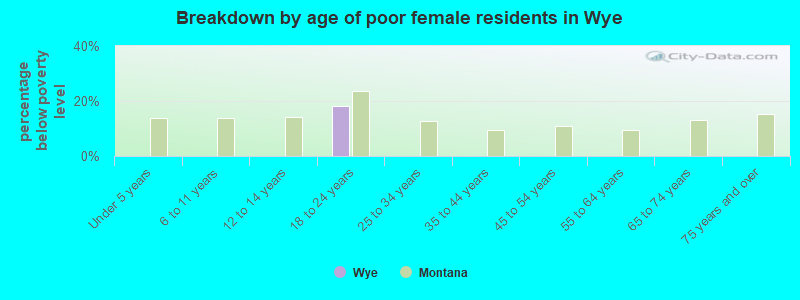 Breakdown by age of poor female residents in Wye