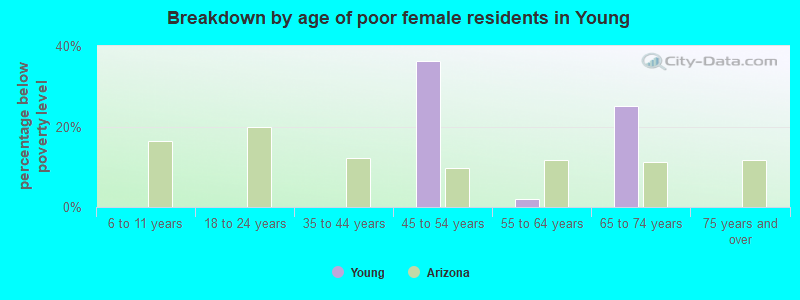 Breakdown by age of poor female residents in Young