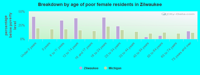 Breakdown by age of poor female residents in Zilwaukee