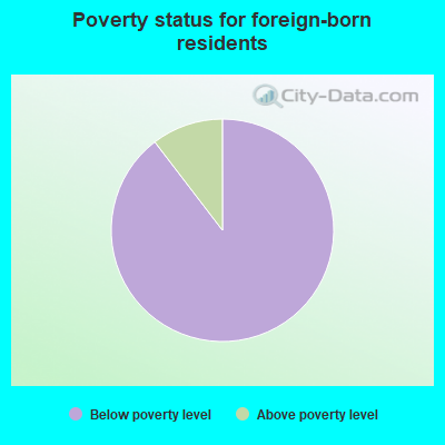 Poverty status for foreign-born residents