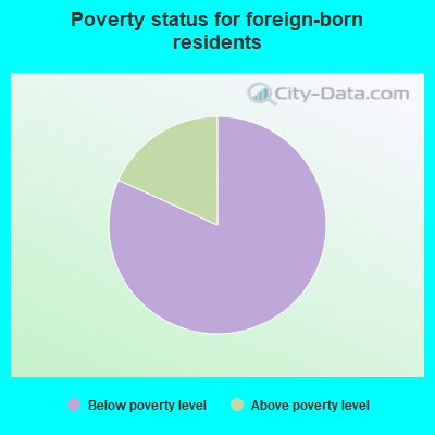 Poverty status for foreign-born residents