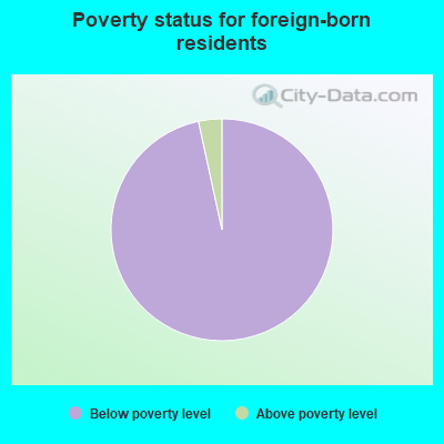 Poverty status for foreign-born residents