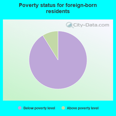 Poverty status for foreign-born residents