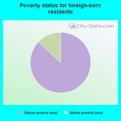 Poverty status for foreign-born residents