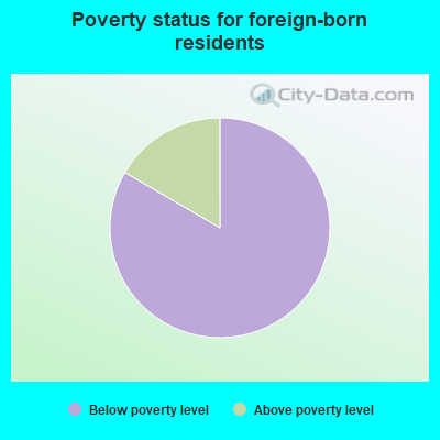 Poverty status for foreign-born residents